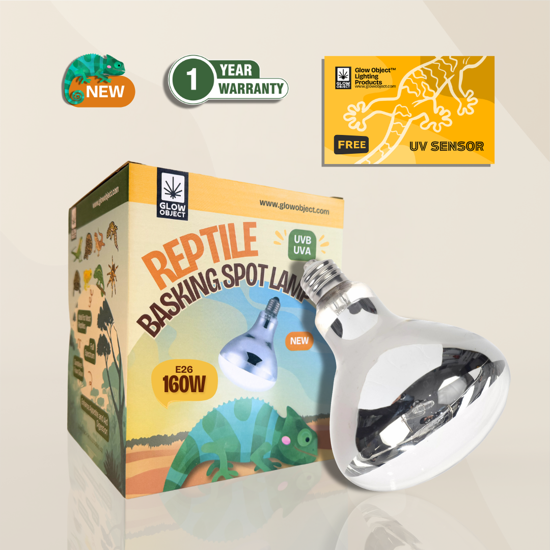 Reptile Heat Lamps