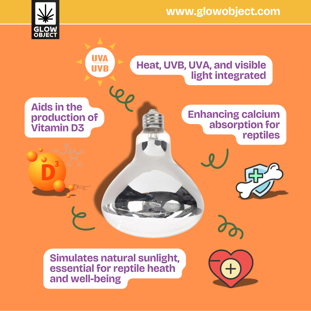 Reptile Heat Lamp - 100W