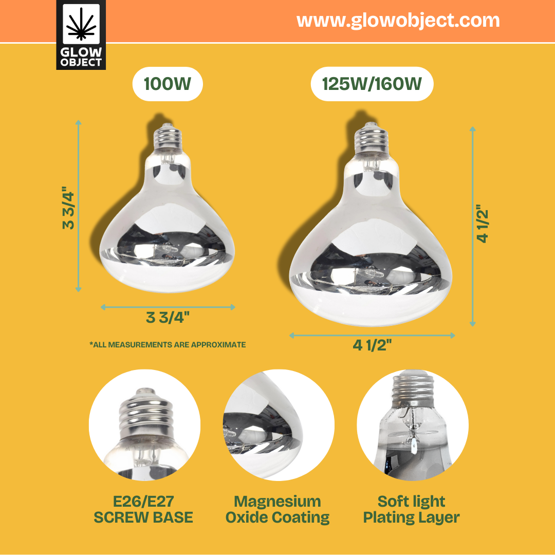 Reptile Heat Lamp - 100W